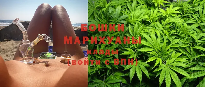 Бошки марихуана Amnesia  Куйбышев 